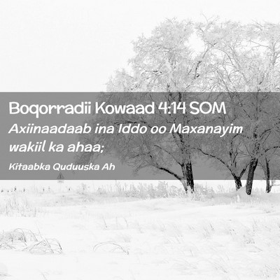 Picture 02 - Boqorradii Kowaad 4:14 SOM - Axiinaadaab ina Iddo oo Maxanayim wakiil ka - Bible Verse Picture