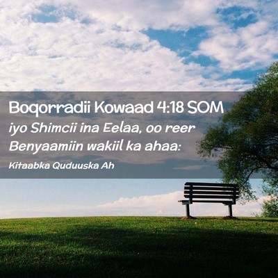 Picture 02 - Boqorradii Kowaad 4:18 SOM - iyo Shimcii ina Eelaa, oo reer Benyaamiin wakiil - Bible Verse Picture