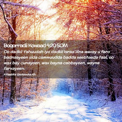 Picture 02 - Boqorradii Kowaad 4:20 SOM - Oo dadkii Yahuudah iyo dadkii Israa'iilna waxay u - Bible Verse Picture