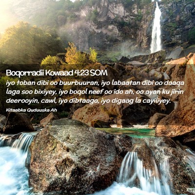 Picture 02 - Boqorradii Kowaad 4:23 SOM - iyo toban dibi oo buurbuuran, iyo labaatan dibi - Bible Verse Picture