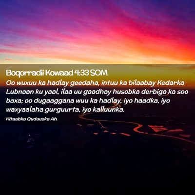 Picture 02 - Boqorradii Kowaad 4:33 SOM - Oo wuxuu ka hadlay geedaha, intuu ka bilaabay - Bible Verse Picture