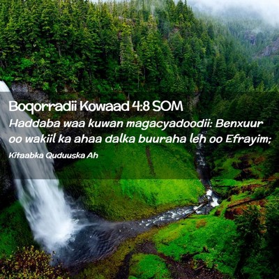 Picture 02 - Boqorradii Kowaad 4:8 SOM - Haddaba waa kuwan magacyadoodii: Benxuur oo - Bible Verse Picture