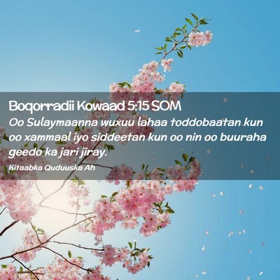 Picture 02 - Boqorradii Kowaad 5:15 SOM - Oo Sulaymaanna wuxuu lahaa toddobaatan kun oo - Bible Verse Picture