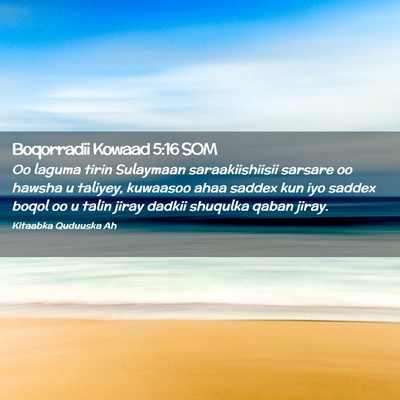 Picture 02 - Boqorradii Kowaad 5:16 SOM - Oo laguma tirin Sulaymaan saraakiishiisii sarsare - Bible Verse Picture
