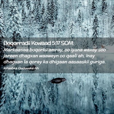 Picture 02 - Boqorradii Kowaad 5:17 SOM - Markaasaa boqorkii amray, oo iyana waxay soo - Bible Verse Picture
