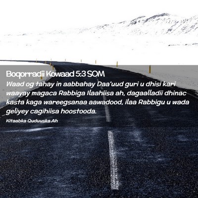 Picture 02 - Boqorradii Kowaad 5:3 SOM - Waad og tahay in aabbahay Daa'uud guri u dhisi - Bible Verse Picture