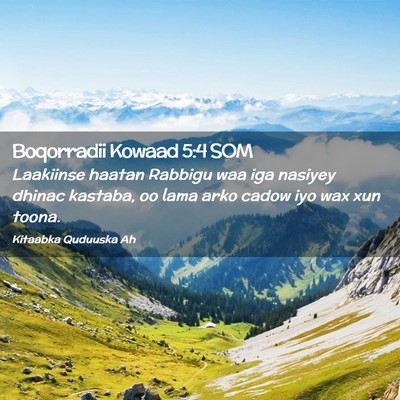 Picture 02 - Boqorradii Kowaad 5:4 SOM - Laakiinse haatan Rabbigu waa iga nasiyey dhinac - Bible Verse Picture