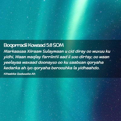 Picture 02 - Boqorradii Kowaad 5:8 SOM - Markaasaa Xiiraam Sulaymaan u cid diray oo wuxuu - Bible Verse Picture