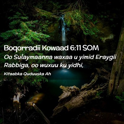 Picture 02 - Boqorradii Kowaad 6:11 SOM - Oo Sulaymaanna waxaa u yimid Eraygii Rabbiga, oo - Bible Verse Picture
