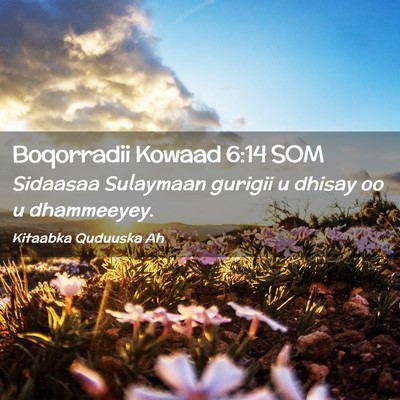 Picture 02 - Boqorradii Kowaad 6:14 SOM - Sidaasaa Sulaymaan gurigii u dhisay oo u - Bible Verse Picture