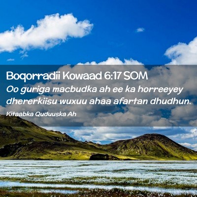 Picture 02 - Boqorradii Kowaad 6:17 SOM - Oo guriga macbudka ah ee ka horreeyey dhererkiisu - Bible Verse Picture