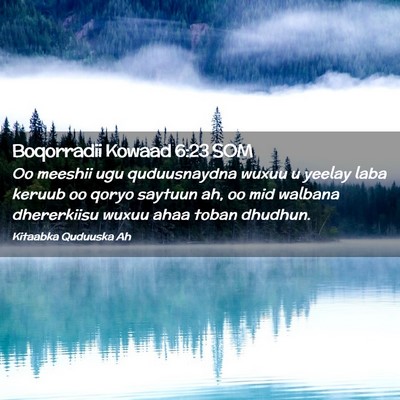 Picture 02 - Boqorradii Kowaad 6:23 SOM - Oo meeshii ugu quduusnaydna wuxuu u yeelay laba - Bible Verse Picture