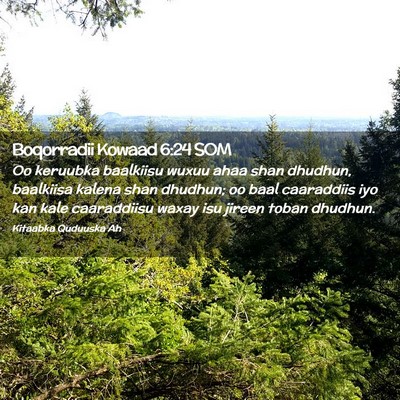 Picture 02 - Boqorradii Kowaad 6:24 SOM - Oo keruubka baalkiisu wuxuu ahaa shan dhudhun, - Bible Verse Picture