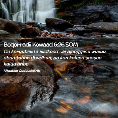 Picture 02 - Boqorradii Kowaad 6:26 SOM - Oo keruubiimta midkood sarajooggiisu wuxuu ahaa - Bible Verse Picture