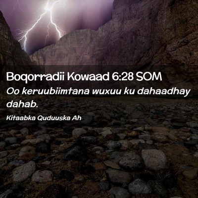 Picture 02 - Boqorradii Kowaad 6:28 SOM - Oo keruubiimtana wuxuu ku dahaadhay - Bible Verse Picture