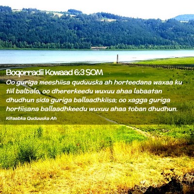 Picture 02 - Boqorradii Kowaad 6:3 SOM - Oo guriga meeshiisa quduuska ah horteedana waxaa - Bible Verse Picture