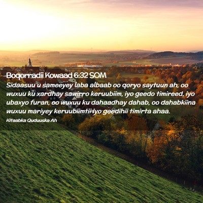 Picture 02 - Boqorradii Kowaad 6:32 SOM - Sidaasuu u sameeyey laba albaab oo qoryo saytuun - Bible Verse Picture