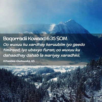Picture 02 - Boqorradii Kowaad 6:35 SOM - Oo wuxuu ku xardhay keruubiim iyo geedo timireed, - Bible Verse Picture