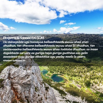 Picture 02 - Boqorradii Kowaad 6:6 SOM - Oo dabaqadda ugu hoosaysa ballaadhkeedu wuxuu - Bible Verse Picture
