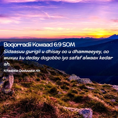 Picture 02 - Boqorradii Kowaad 6:9 SOM - Sidaasuu gurigii u dhisay oo u dhammeeyey, oo - Bible Verse Picture
