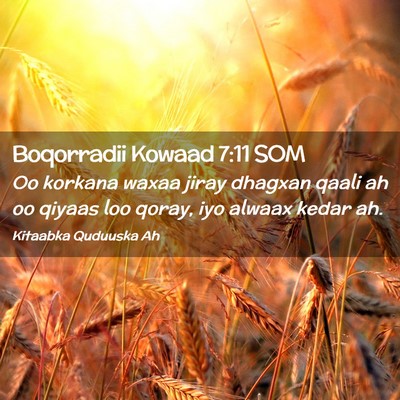 Picture 02 - Boqorradii Kowaad 7:11 SOM - Oo korkana waxaa jiray dhagxan qaali ah oo qiyaas - Bible Verse Picture