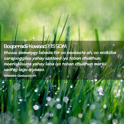 Picture 02 - Boqorradii Kowaad 7:15 SOM - Wuxuu sameeyey labada tiir oo naxaasta ah, oo - Bible Verse Picture