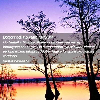 Picture 02 - Boqorradii Kowaad 7:17 SOM - Oo taajajka tiirarka dhaladooda saarnaa waxay - Bible Verse Picture