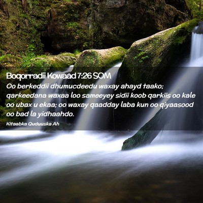 Picture 02 - Boqorradii Kowaad 7:26 SOM - Oo berkeddii dhumucdeedu waxay ahayd taako; - Bible Verse Picture