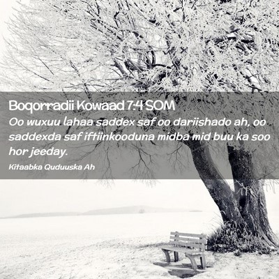 Picture 02 - Boqorradii Kowaad 7:4 SOM - Oo wuxuu lahaa saddex saf oo dariishado ah, oo - Bible Verse Picture