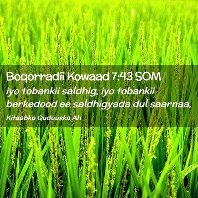 Picture 02 - Boqorradii Kowaad 7:43 SOM - iyo tobankii saldhig, iyo tobankii berkedood ee - Bible Verse Picture
