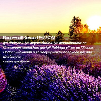 Picture 02 - Boqorradii Kowaad 7:45 SOM - iyo dheryihii, iyo majarafadihii, iyo - Bible Verse Picture