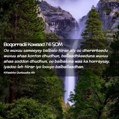 Picture 02 - Boqorradii Kowaad 7:6 SOM - Oo wuxuu sameeyey balbalo tiirar ah; oo - Bible Verse Picture