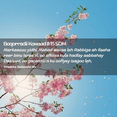Picture 02 - Boqorradii Kowaad 8:15 SOM - Markaasuu yidhi, Mahad waxaa leh Rabbiga ah - Bible Verse Picture