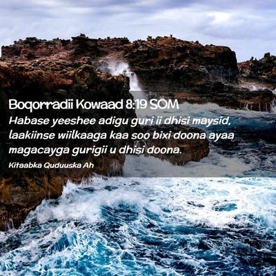 Picture 02 - Boqorradii Kowaad 8:19 SOM - Habase yeeshee adigu guri ii dhisi maysid, - Bible Verse Picture