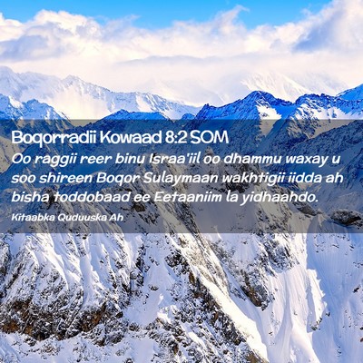 Picture 02 - Boqorradii Kowaad 8:2 SOM - Oo raggii reer binu Israa'iil oo dhammu waxay u - Bible Verse Picture