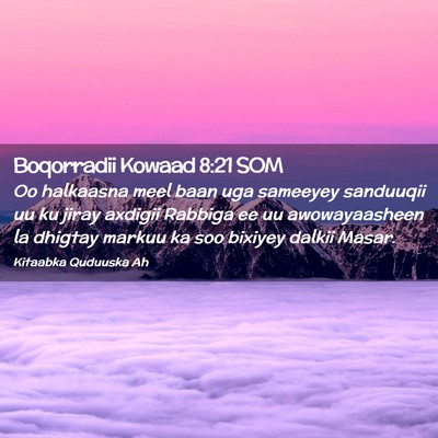 Picture 02 - Boqorradii Kowaad 8:21 SOM - Oo halkaasna meel baan uga sameeyey sanduuqii uu - Bible Verse Picture