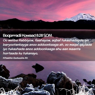 Picture 02 - Boqorradii Kowaad 8:28 SOM - Oo weliba Rabbiyow, Ilaahayow, aqbal tukashadayda - Bible Verse Picture
