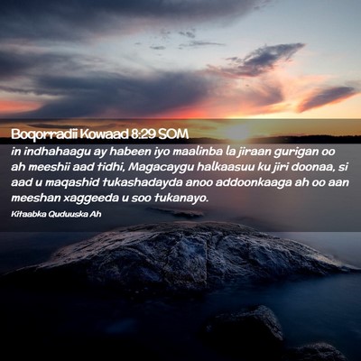 Picture 02 - Boqorradii Kowaad 8:29 SOM - in indhahaagu ay habeen iyo maalinba la jiraan - Bible Verse Picture