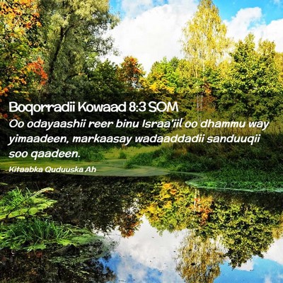 Picture 02 - Boqorradii Kowaad 8:3 SOM - Oo odayaashii reer binu Israa'iil oo dhammu way - Bible Verse Picture