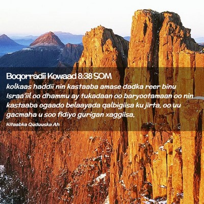 Picture 02 - Boqorradii Kowaad 8:38 SOM - kolkaas haddii nin kastaaba amase dadka reer binu - Bible Verse Picture
