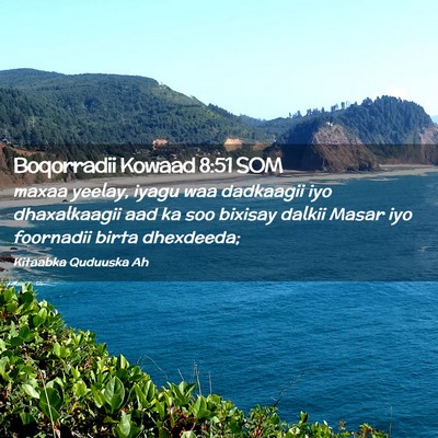 Picture 02 - Boqorradii Kowaad 8:51 SOM - maxaa yeelay, iyagu waa dadkaagii iyo - Bible Verse Picture