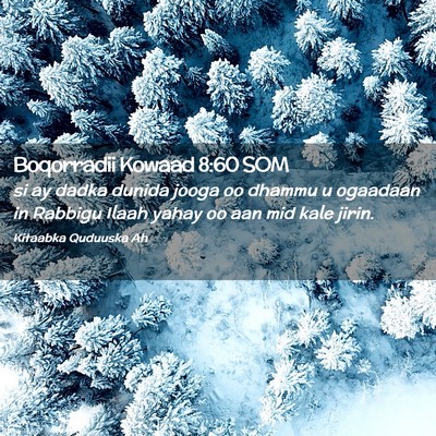 Picture 02 - Boqorradii Kowaad 8:60 SOM - si ay dadka dunida jooga oo dhammu u ogaadaan in - Bible Verse Picture