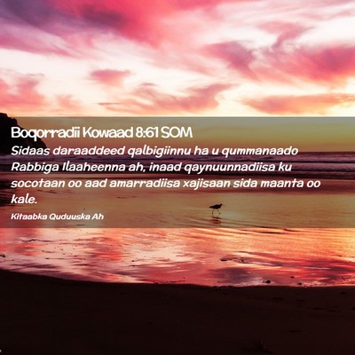 Picture 02 - Boqorradii Kowaad 8:61 SOM - Sidaas daraaddeed qalbigiinnu ha u qummanaado - Bible Verse Picture