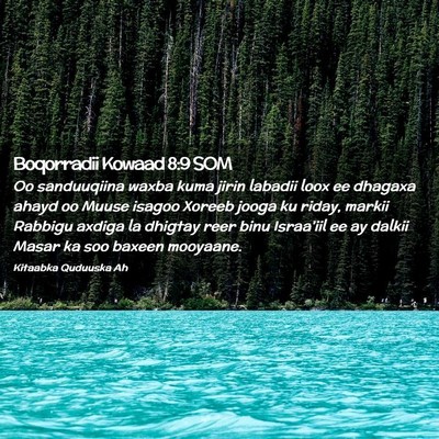 Picture 02 - Boqorradii Kowaad 8:9 SOM - Oo sanduuqiina waxba kuma jirin labadii loox ee - Bible Verse Picture