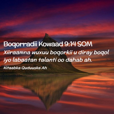 Picture 02 - Boqorradii Kowaad 9:14 SOM - Xiiraamna wuxuu boqorkii u diray boqol iyo - Bible Verse Picture