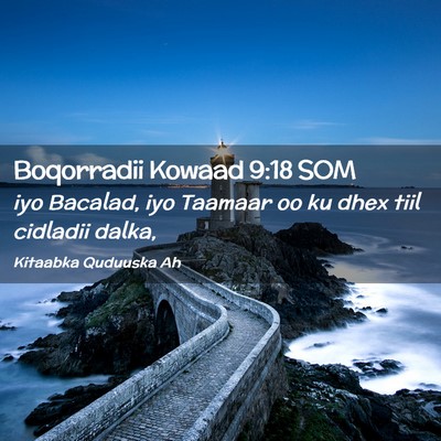 Picture 02 - Boqorradii Kowaad 9:18 SOM - iyo Bacalad, iyo Taamaar oo ku dhex tiil cidladii - Bible Verse Picture