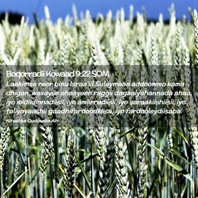 Picture 02 - Boqorradii Kowaad 9:22 SOM - Laakiinse reer binu Israa'iil Sulaymaan addoommo - Bible Verse Picture