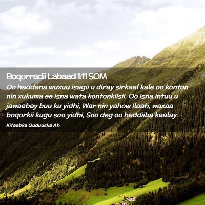 Picture 02 - Boqorradii Labaad 1:11 SOM - Oo haddana wuxuu isagii u diray sirkaal kale oo - Bible Verse Picture