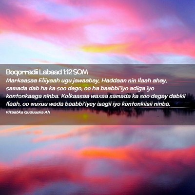 Picture 02 - Boqorradii Labaad 1:12 SOM - Markaasaa Eliiyaah ugu jawaabay, Haddaan nin - Bible Verse Picture