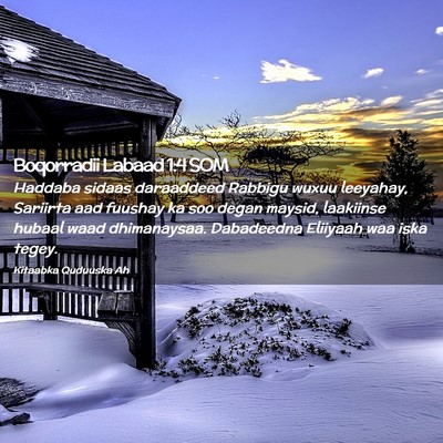 Picture 02 - Boqorradii Labaad 1:4 SOM - Haddaba sidaas daraaddeed Rabbigu wuxuu leeyahay, - Bible Verse Picture